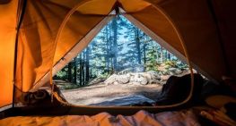 Plan A Camping Trip: 5 Things To Do